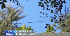全球松子财产之都！东北小城梅河口藏不住了